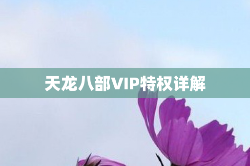 天龙八部VIP特权详解图片