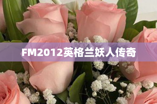 FM2012英格兰妖人传奇图片