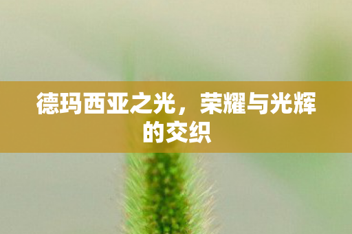 荣耀与光辉的交织图片