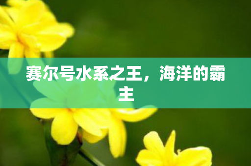 赛尔号水系之王图片