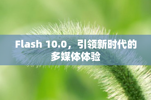 引领新时代的多媒体体验图片