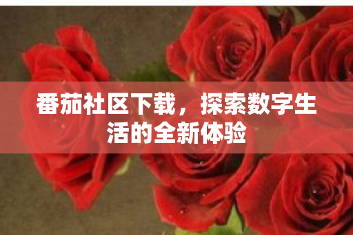 探索数字生活的全新体验图片