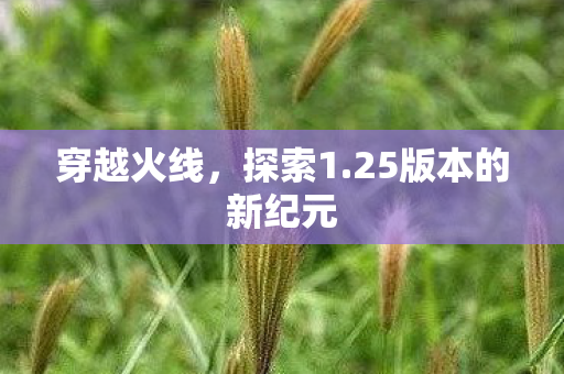 25版本的新纪元图片