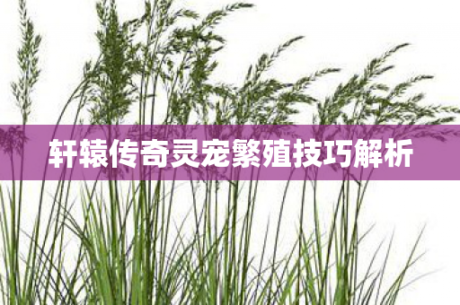 轩辕传奇灵宠繁殖技巧解析图片