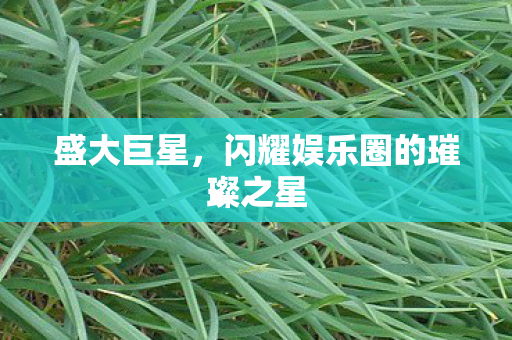 闪耀娱乐圈的璀璨之星图片