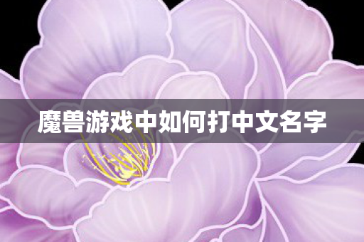 魔兽游戏中如何打中文名字图片