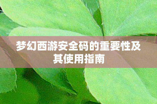 梦幻西游安全码的重要性及其使用指南图片