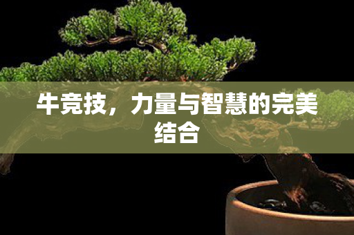 力量与智慧的完美结合图片