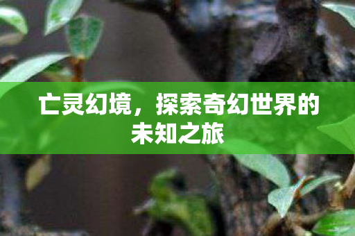 探索奇幻世界的未知之旅图片