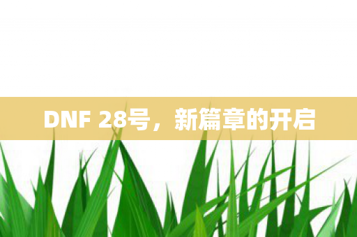 DNF 28号图片