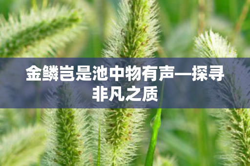 金鳞岂是池中物有声图片