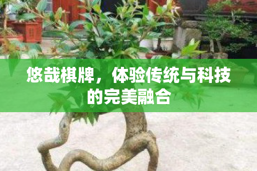 体验传统与科技的完美融合图片