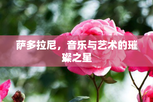 音乐与艺术的璀璨之星图片