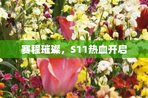 S11热血开启图片