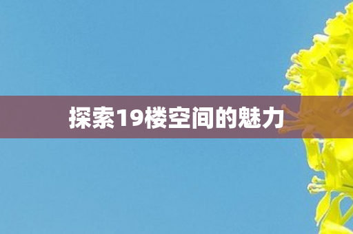 探索19楼空间的魅力图片
