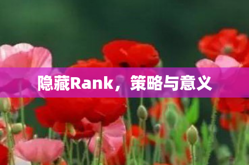 隐藏Rank图片