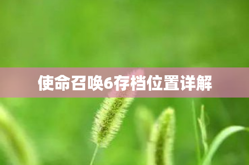 使命召唤6存档位置详解图片