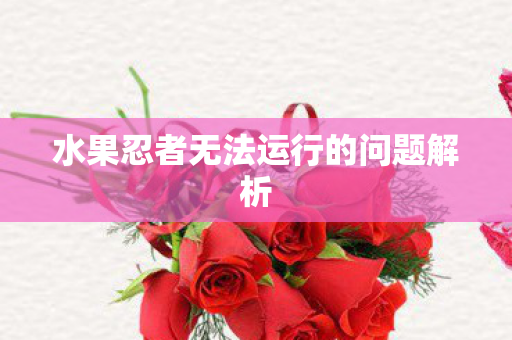 水果忍者无法运行的问题解析图片