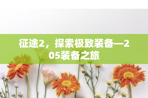 205装备之旅图片