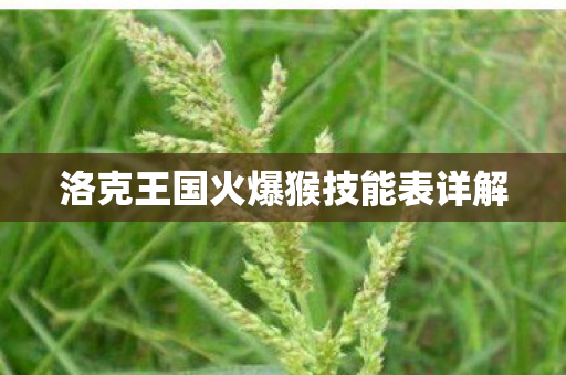洛克王国火爆猴技能表详解图片
