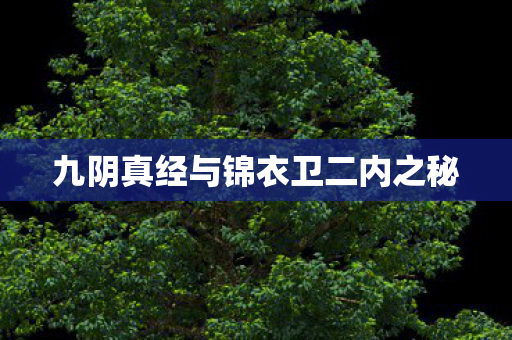 九阴真经与锦衣卫二内之秘图片