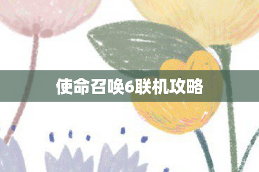 使命召唤6联机攻略图片