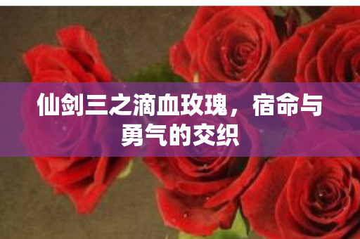 仙剑三之滴血玫瑰图片