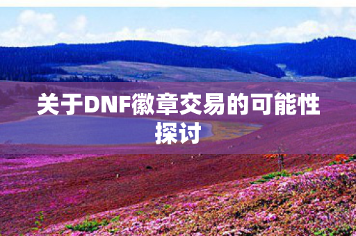 关于DNF徽章交易的可能性探讨图片