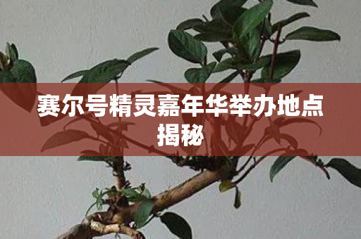 赛尔号精灵嘉年华举办地点揭秘图片