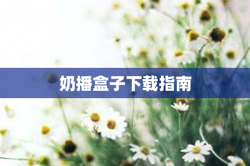 奶播盒子下载指南图片