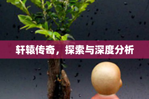 探索与深度分析图片