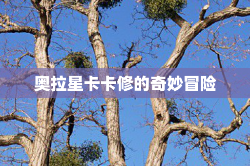 奥拉星卡卡修的奇妙冒险图片