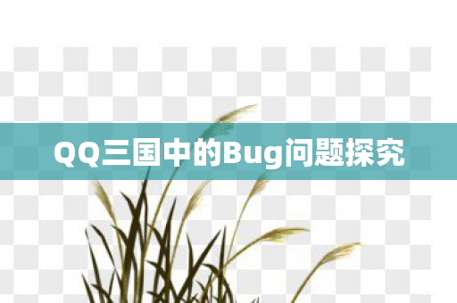 QQ三国中的Bug问题探究图片