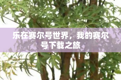 我的赛尔号下载之旅图片