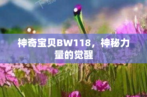 神奇宝贝BW118图片