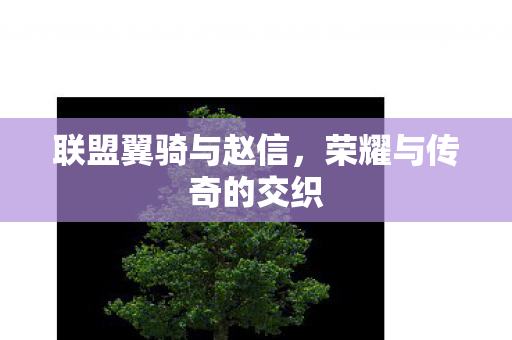 荣耀与传奇的交织图片