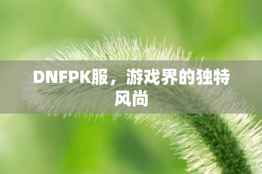 游戏界的独特风尚图片