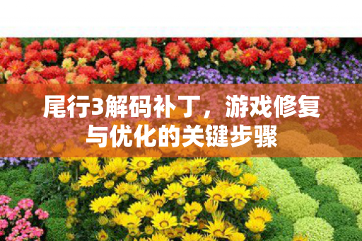 游戏修复与优化的关键步骤图片