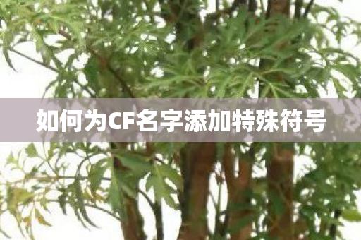 如何为CF名字添加特殊符号图片