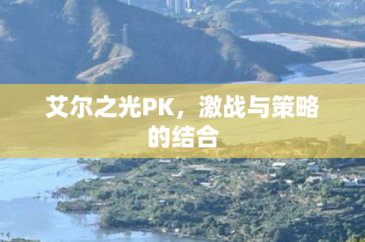 激战与策略的结合图片
