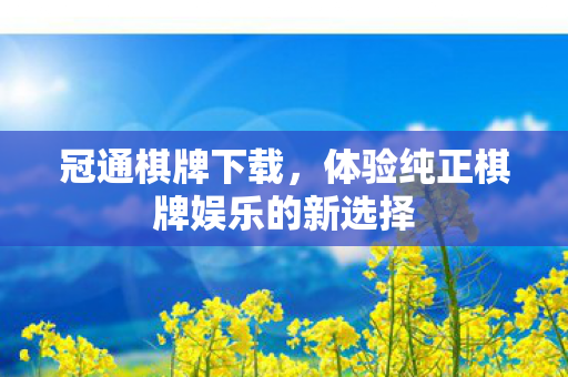 体验纯正棋牌娱乐的新选择图片