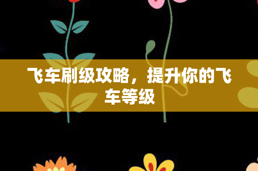 提升你的飞车等级图片