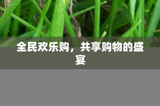 共享购物的盛宴图片