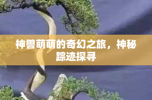 神兽萌萌的奇幻之旅图片