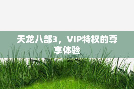 VIP特权的尊享体验图片