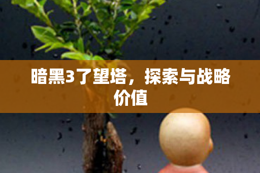 探索与战略价值图片