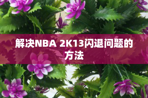 解决NBA 2K13闪退问题的方法图片