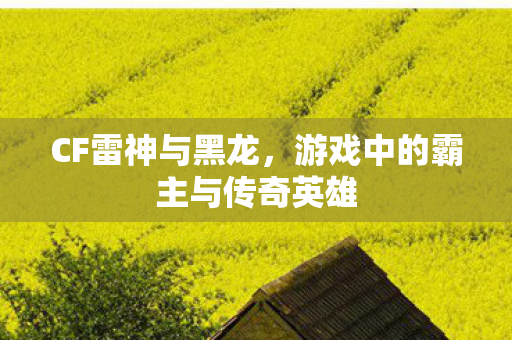 游戏中的霸主与传奇英雄图片