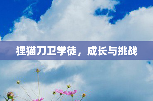 狸猫刀卫学徒图片