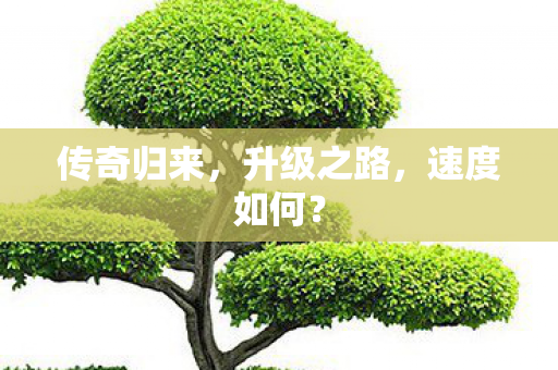传奇归来图片